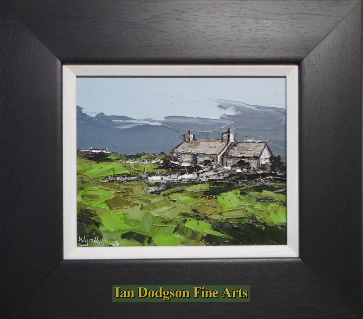 Tyn Cae by Wyn Hughes