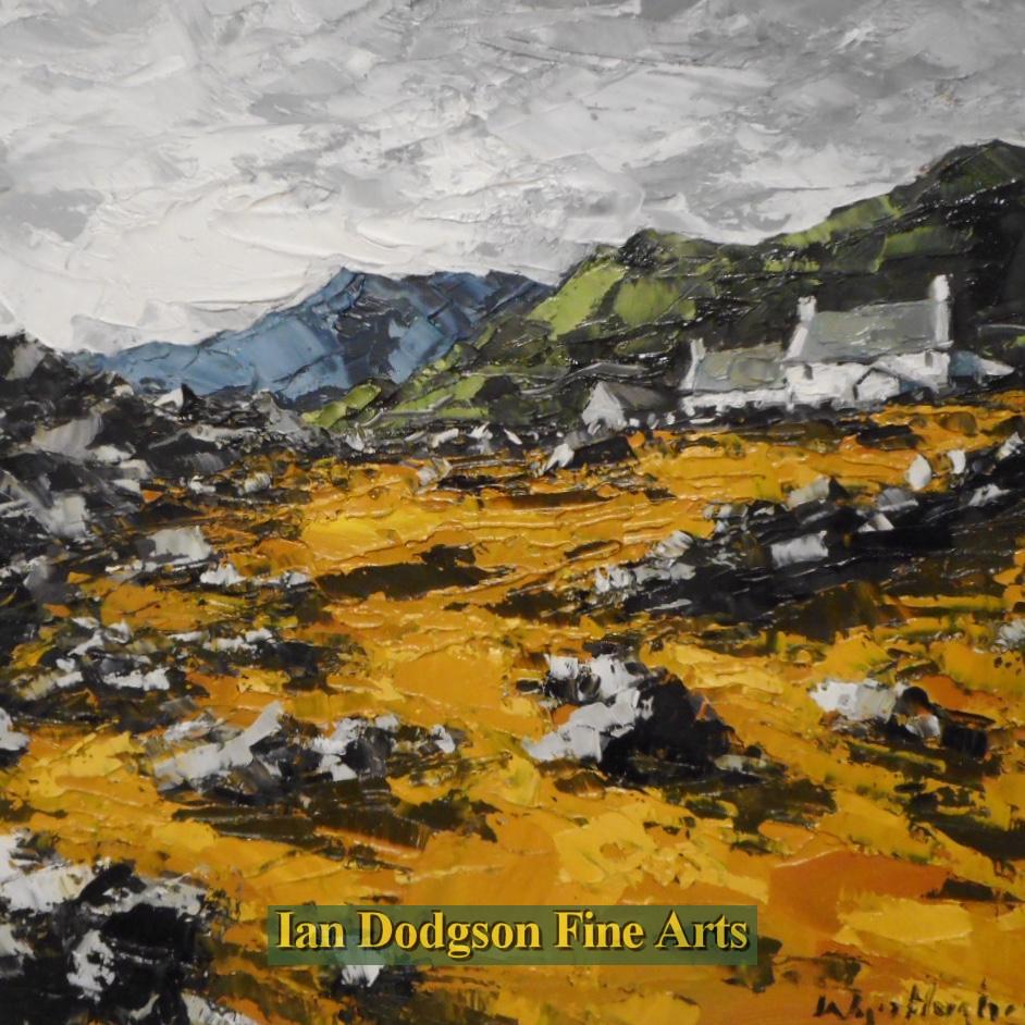 Tyddyn Eryri by Wyn Hughes