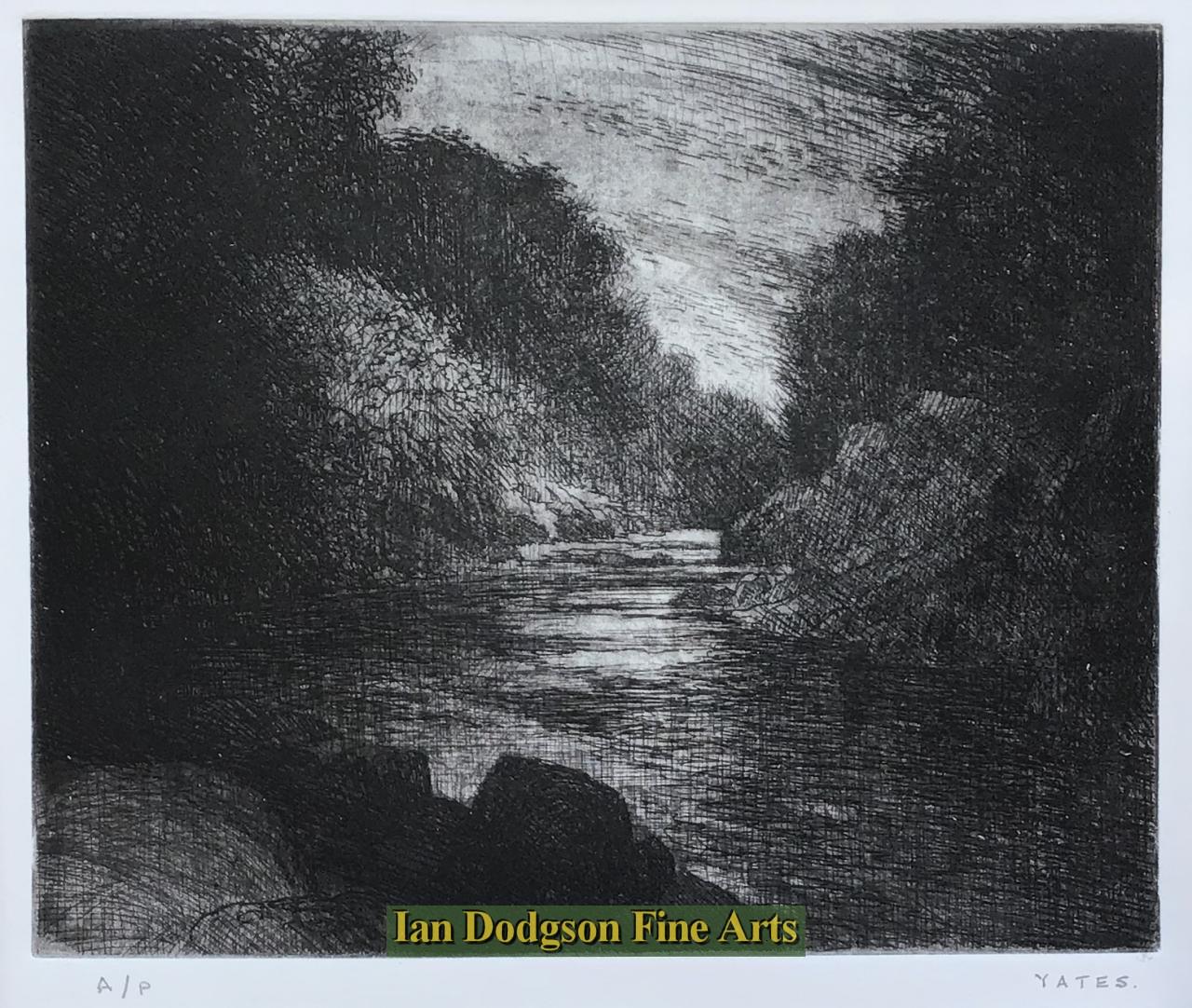 Jeremy Yates - Black Trees/Water Etching (2020)