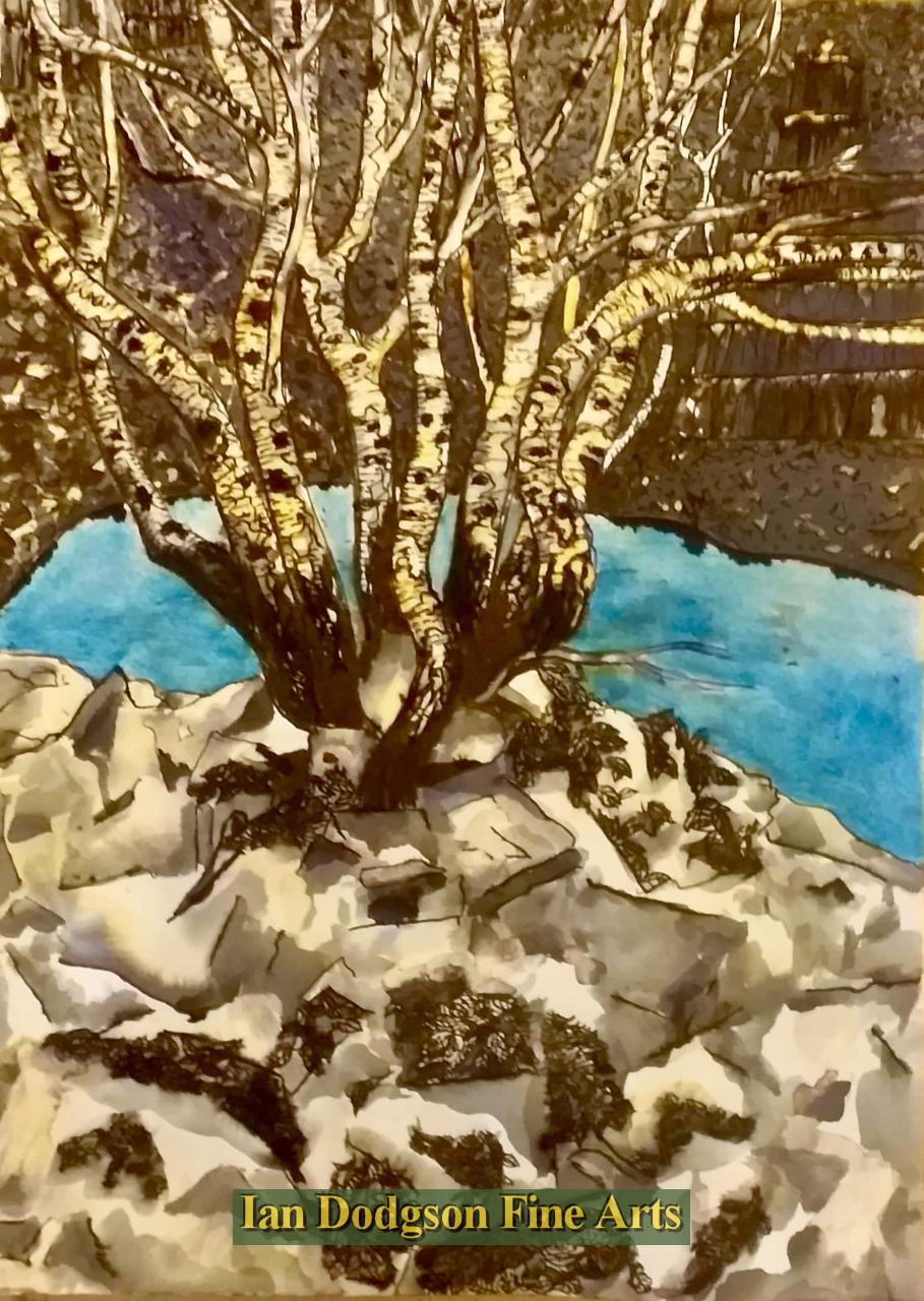 Jeremy Cullimore - Winter Quarry, Bethesda Ink on paper (2021)