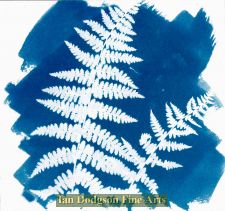 Fern 5 by Gill Hughes