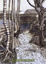 Afon Galedffrwd at Felin Fawr by Jeremy Cullimore